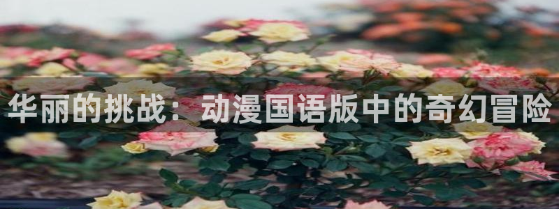 囧次元下载免费版