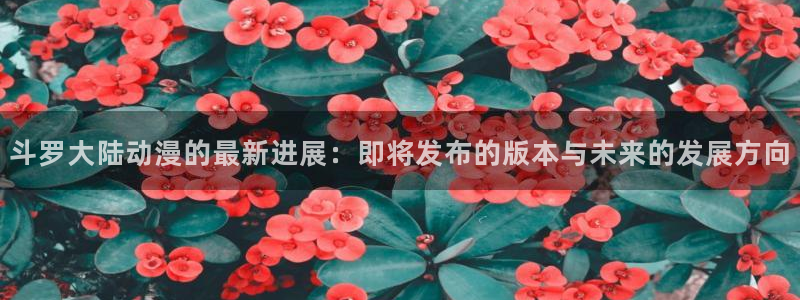 囧次元动漫官网入口