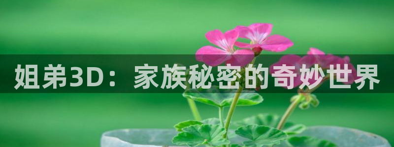 囧次元下载网站