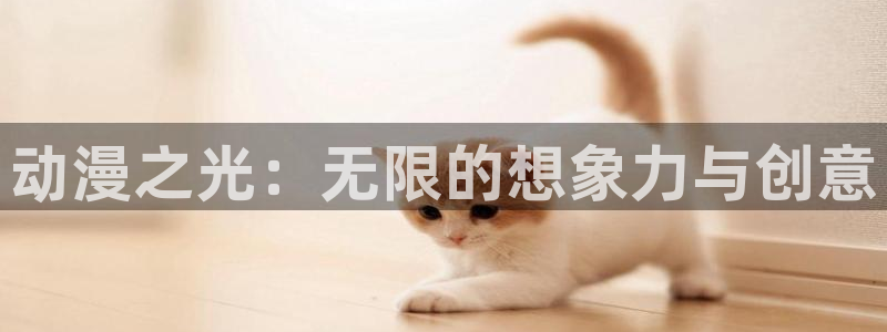 囧囧次元
