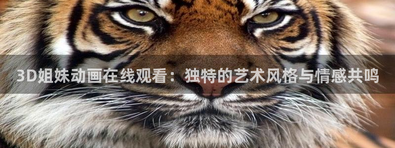 囧次元官方网站入口