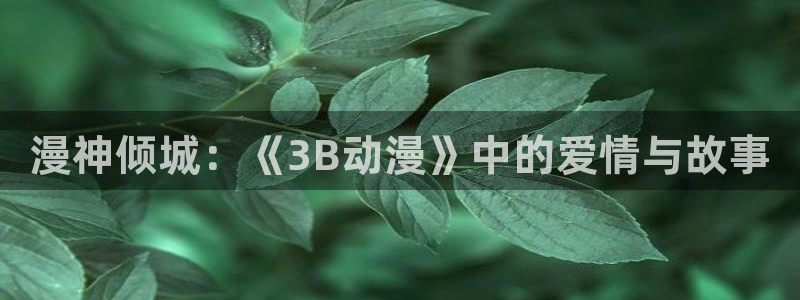 囧次元更新最新版本