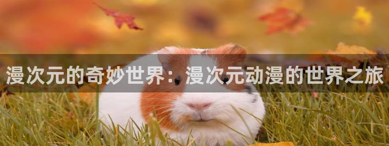 囧次元网站入口