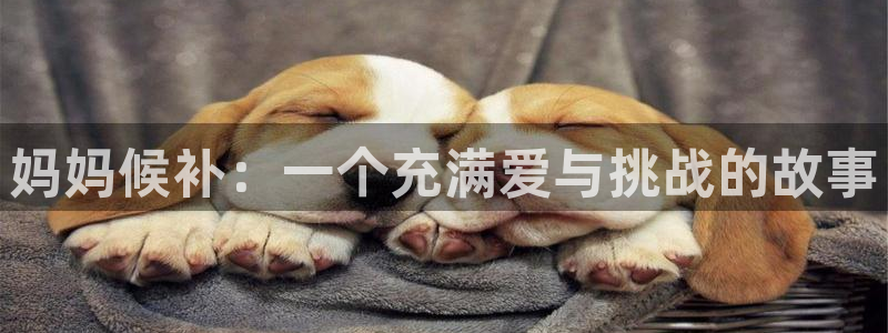 囧次元 翻译