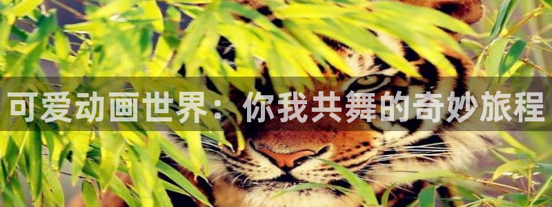 囧次元app下载动漫