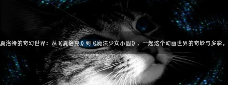 囧次元下载免费版