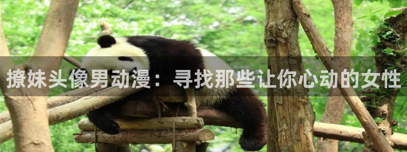 com.囧次元.www