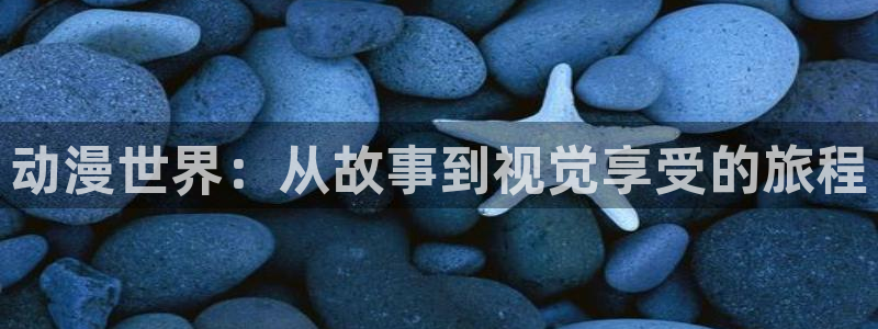 囧次元纯净版正版官网入口