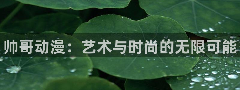 囧次元正版