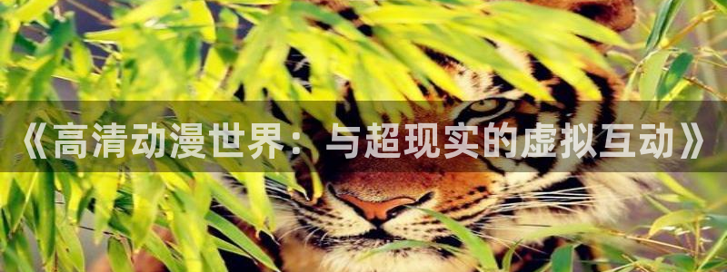 囧次元官方正版app下载
