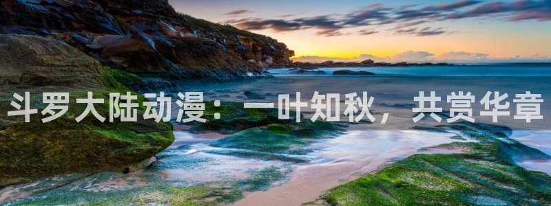 囧次元官网官方入口：斗罗大陆动漫：一叶知秋，共赏华章
