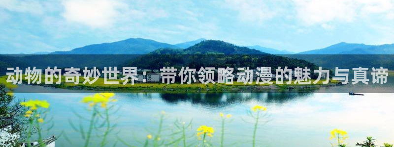 囧次元官方：动物的奇妙世界：带你领略动漫的魅力与真谛