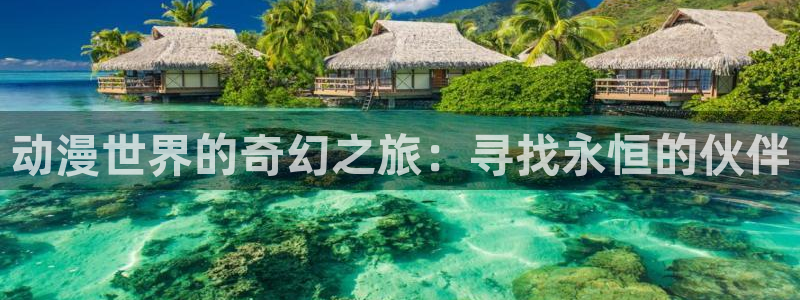 囧次元下载官方正版