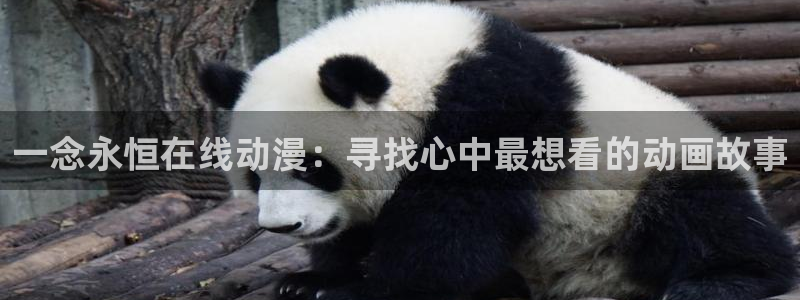 囧次元app正版