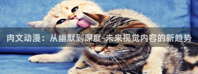 囧次元官方网址