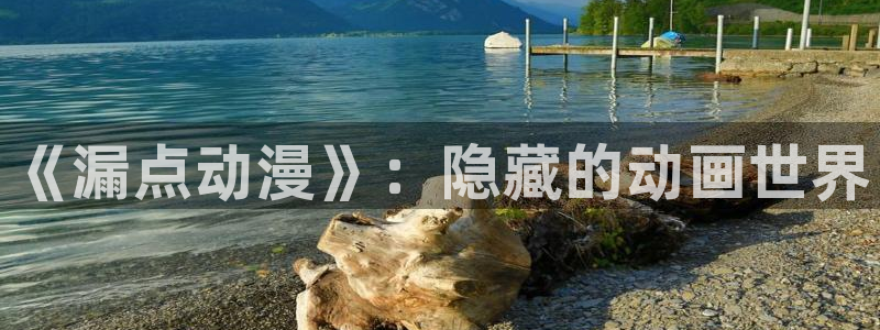 囧次元新版本下载
