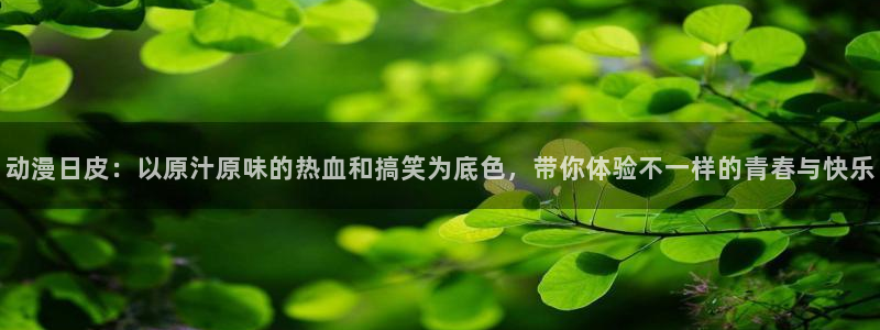 囧次元正版官方下载