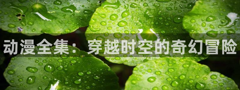 囧次元app官方下载入口