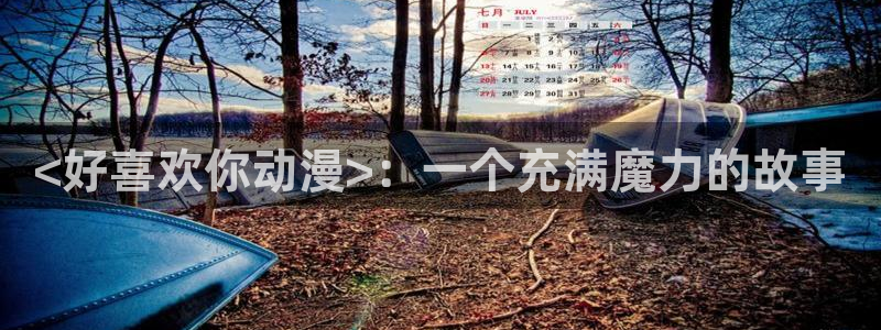 囧次元下载安装
