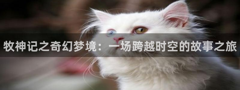 囧次元最新