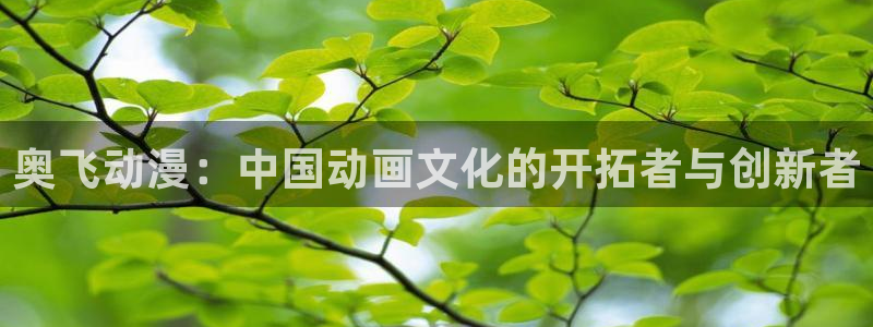 囧次元动漫官网下载