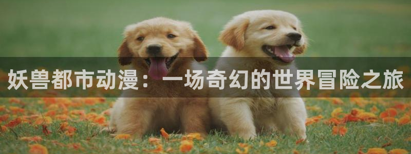 囧次元app官网入口