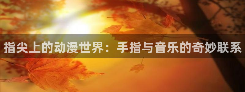 囧次元官方网站入口最新版本