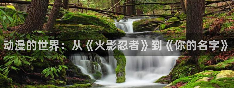 囧次元正版入口