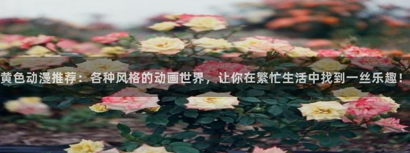 囧次元下载正版下载