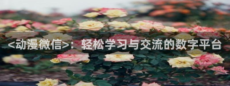 囧次元最新下载
