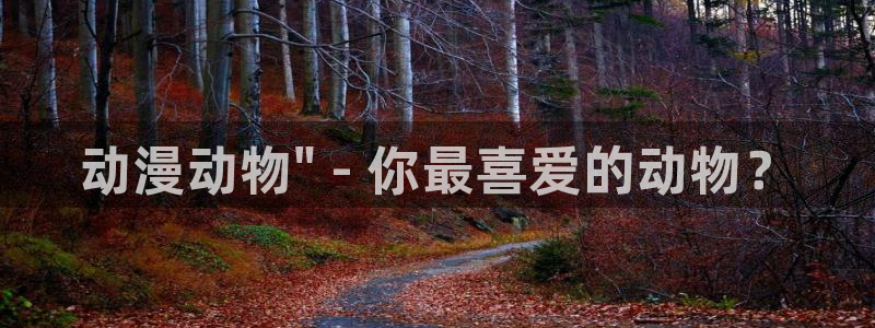 囧次元动漫官网入口