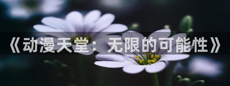 囧次元网站链接