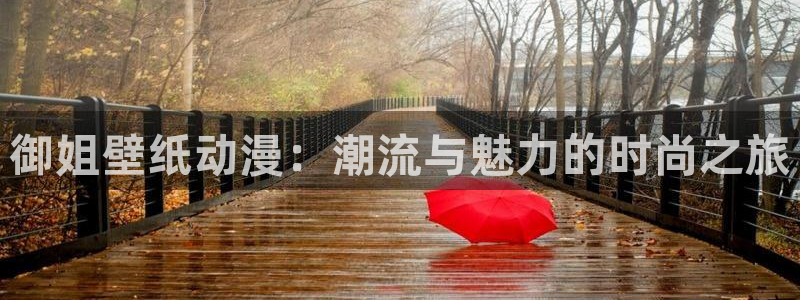 囧次元入口