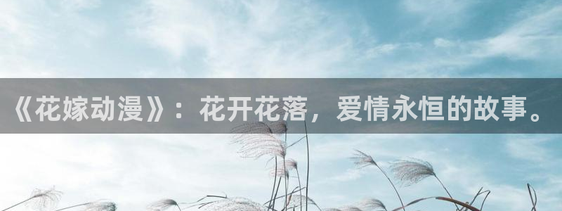 囧次元动漫下载app官网