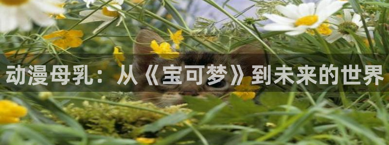 囧次元官方网站入口官网下载