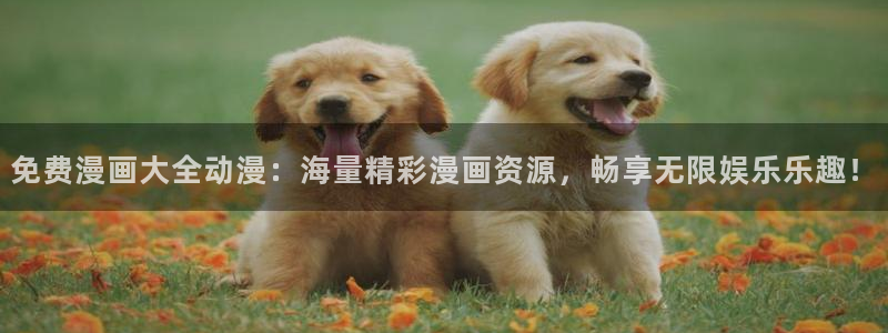 囧次元动漫app正版