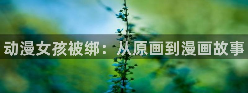 囧次元官方官网入口：动漫女孩被绑：从原画到漫画故事