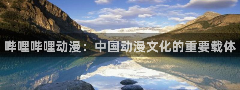 囧次元官网入口下载最新版：哔哩哔哩动漫：中国动漫文化的重要载体