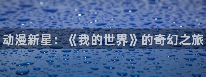 囧次元官方网站入口：动漫新星：《我的世界》的奇幻之旅
