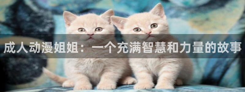 囧次元官方下载