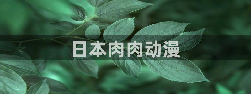 囧次元正版