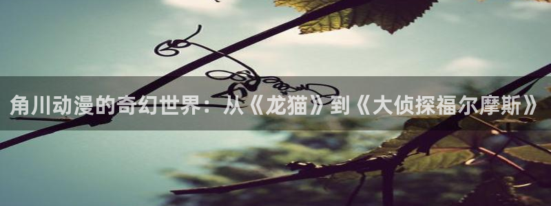 囧次元官网入口网址