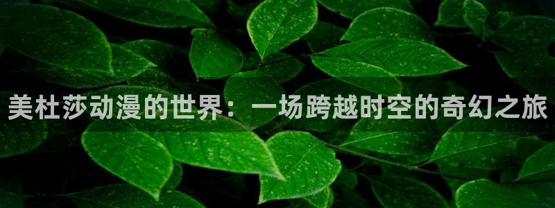 囧次元是什么