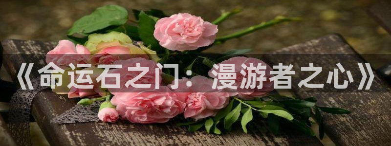 囧次元在线观看入口