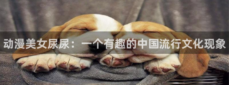 囧次元看动漫
