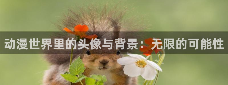 囧次元更新最新版本