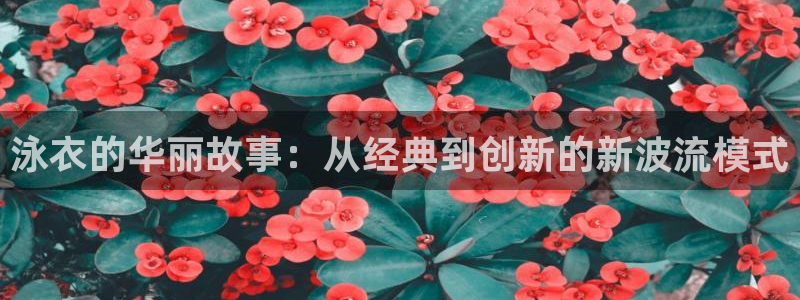 囧次元官网下载入口