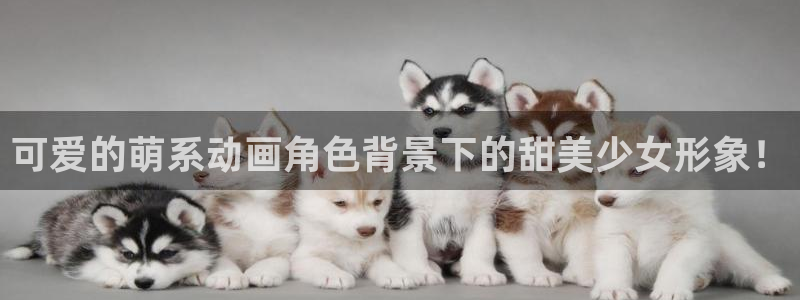 囧次元动漫官网下载入口
