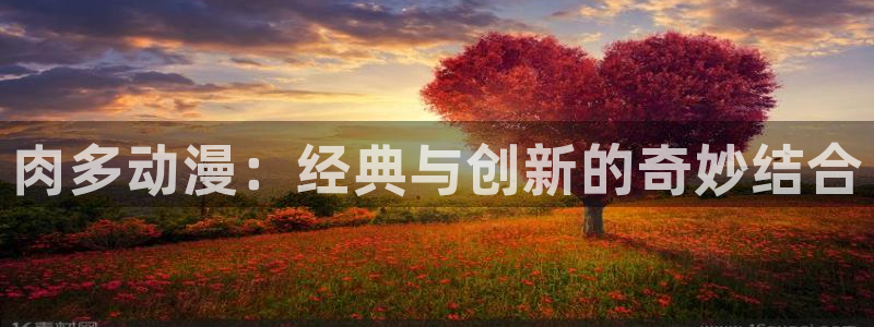 囧次元动漫app正版