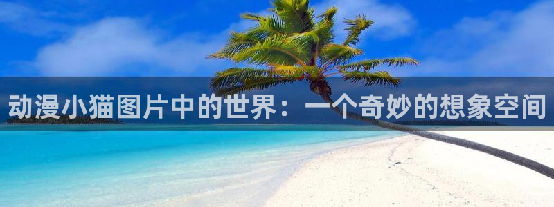 囧次元app下载官网版